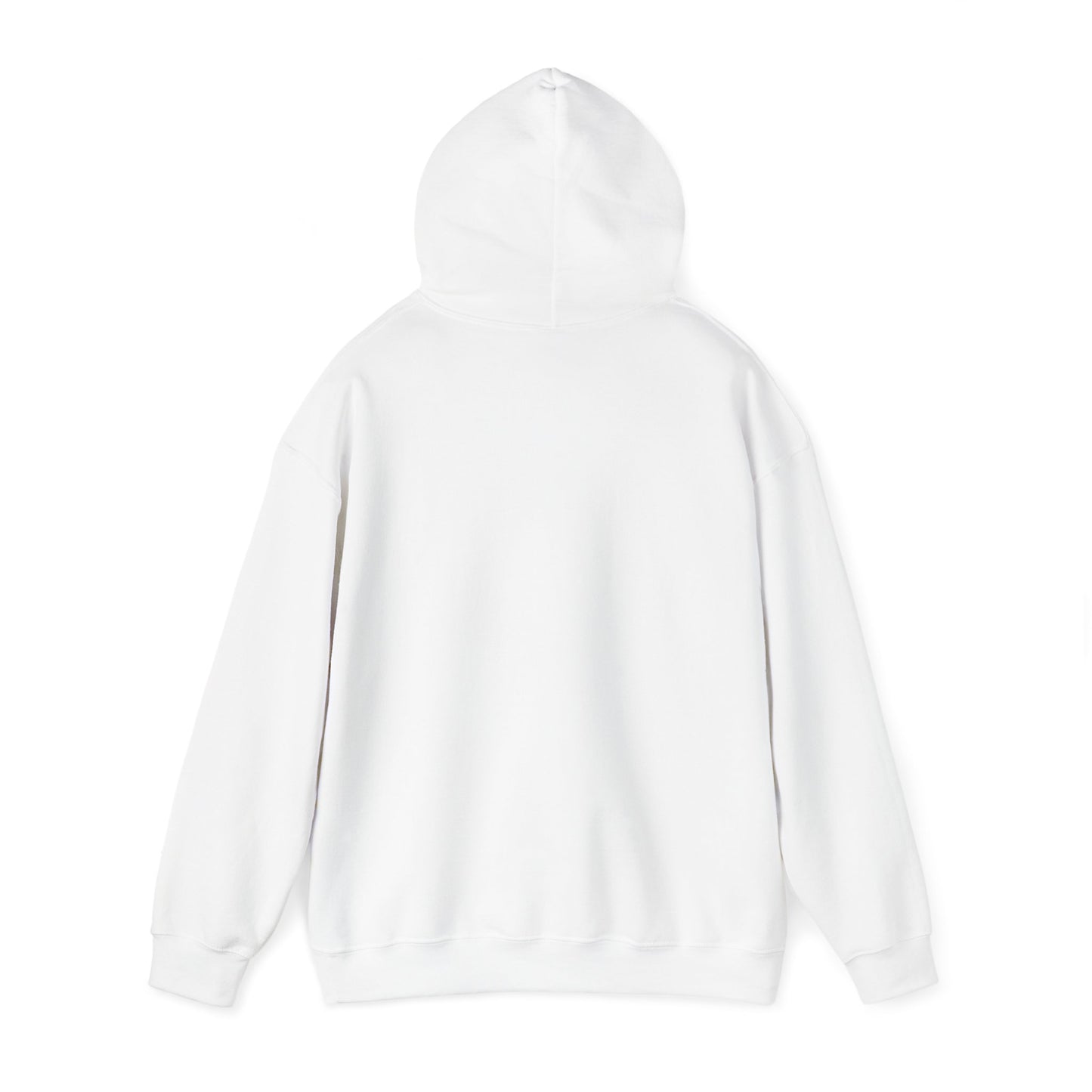 Jupiter Florida Hoodie