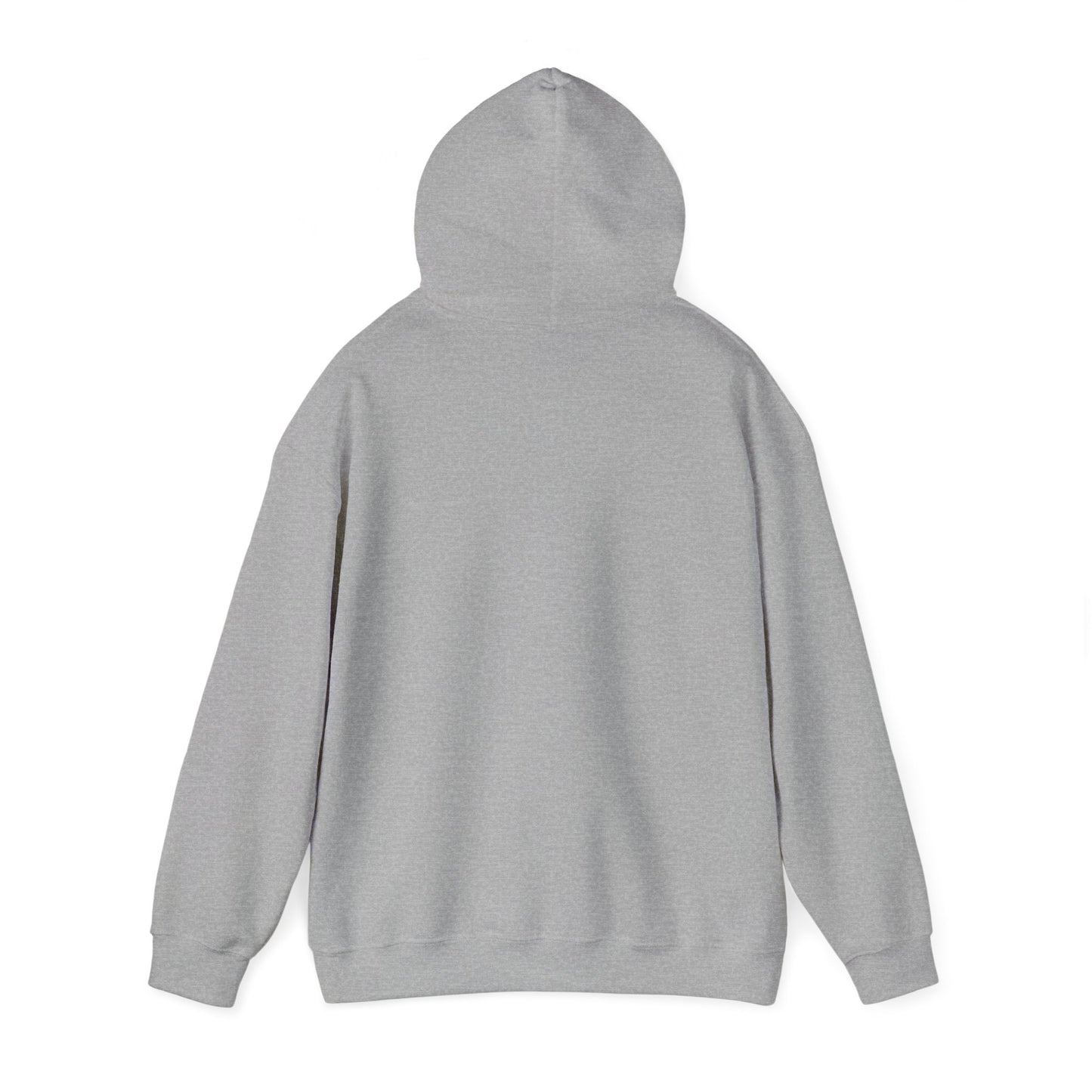 Jupiter Florida Hoodie