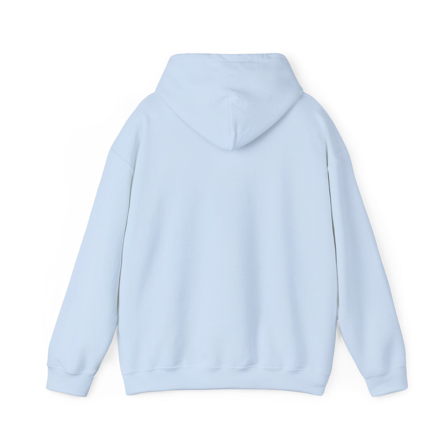 Jupiter Florida Hoodie