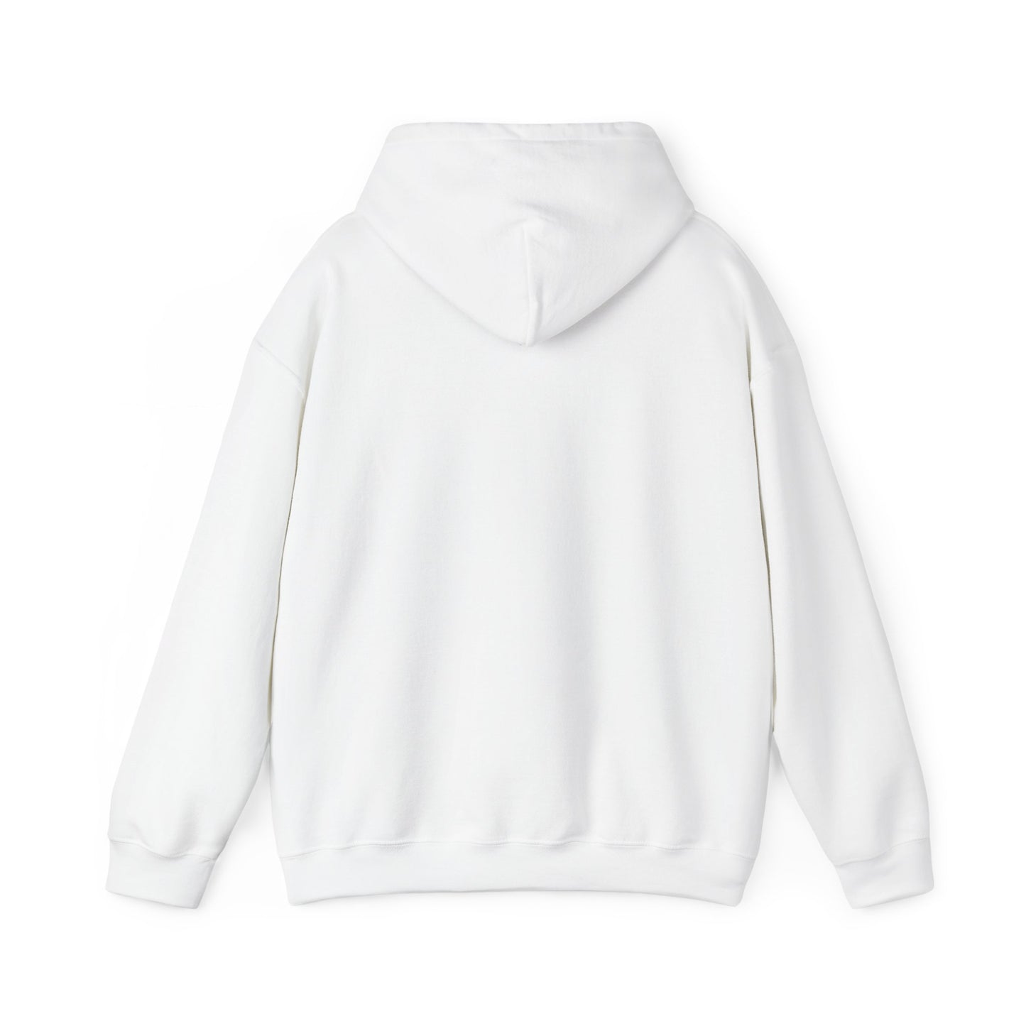Jupiter Florida Hoodie