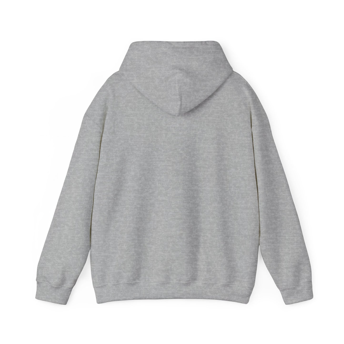Jupiter Florida Hoodie